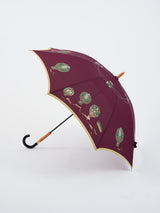 LONG UMBRELLA / BALLOON HISTORY