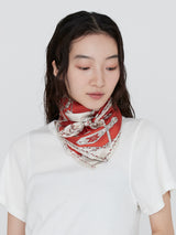 SILK SCARF 65 / NATIVE BIT