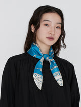 SILK SCARF 65 / NATIVE BIT