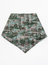 DOWN TRIANGLE / BALLOON MOUNTAIN