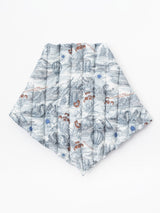 DOWN TRIANGLE / BALLOON MOUNTAIN