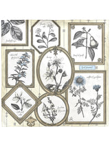 SILK SCARF 88 / FRAME FLOWER