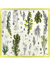 SILK SCARF 65 / BOTANICAL