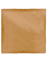 DOUBLE FACE SILK SCARF 65 / PLANETA & DOT