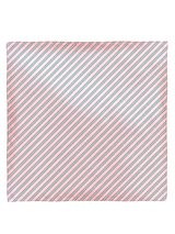 <ダブルフェイスシルクスカーフ65>ブルーメンガーデン&レジメンタル