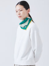 SILK SCARF 65 / SNOW GLOVE