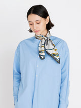 SILK SCARF 65 / NATIVE BIT