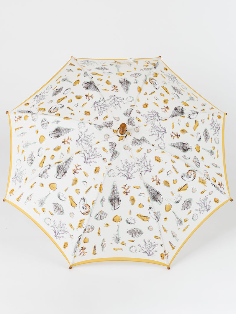 PARASOL / SHELL