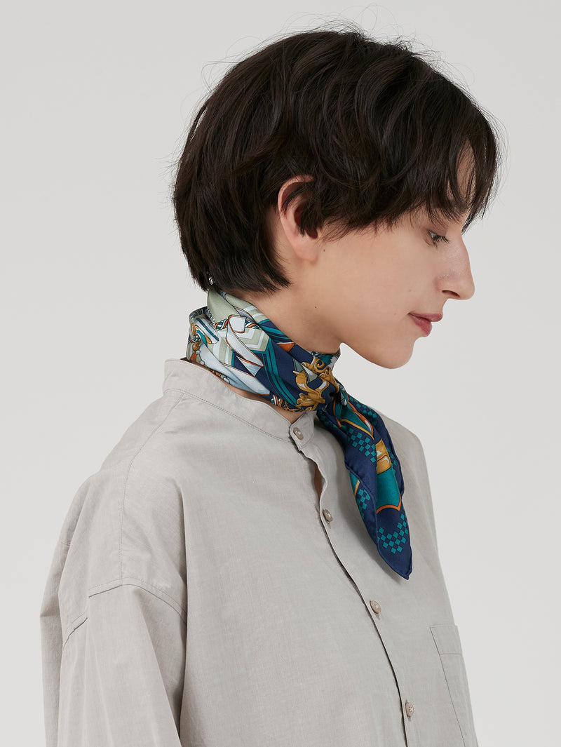 SILK SCARF 65 / RIBBON HERNESS