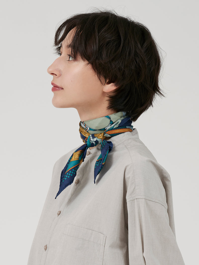 SILK SCARF 65 / RIBBON HERNESS