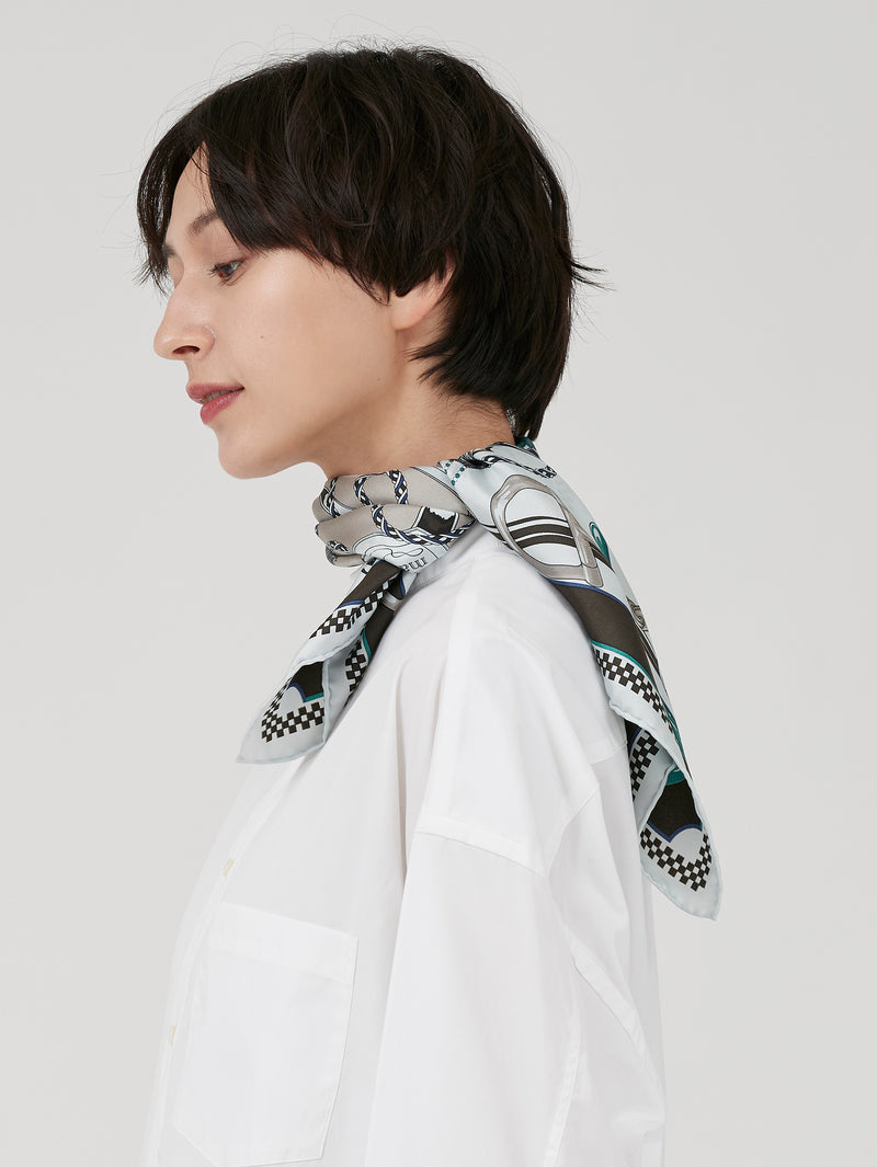 SILK SCARF 65 / RIBBON HERNESS