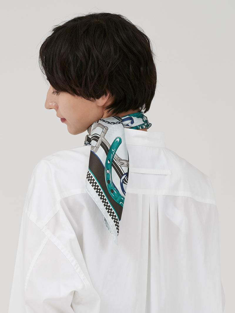 SILK SCARF 65 / RIBBON HERNESS