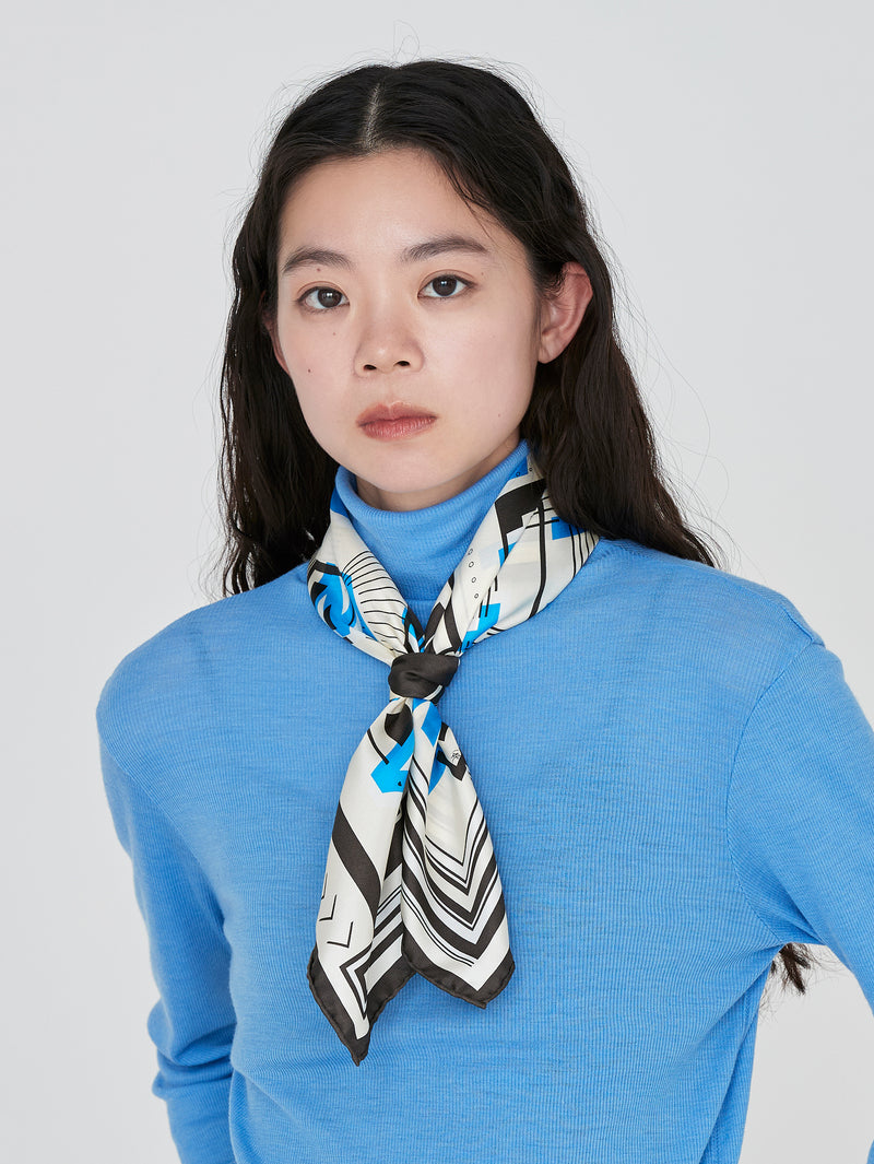 SILK SCARF 65 / POSTER