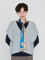 BOWTIE MINI 5 / JOCKEY