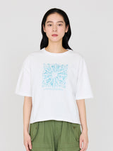 ＜半袖S Tシャツ＞シーズナルフルーツ