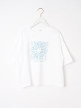 ＜半袖S Tシャツ＞シーズナルフルーツ