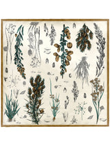 ＜シルクスカーフ65＞ボタニカル