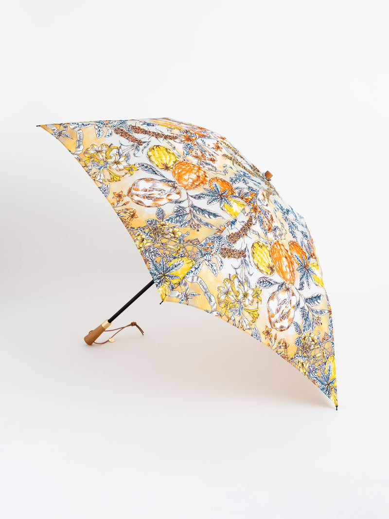 &lt;Umbrella for both rain and shine&gt; Orangerie Garden