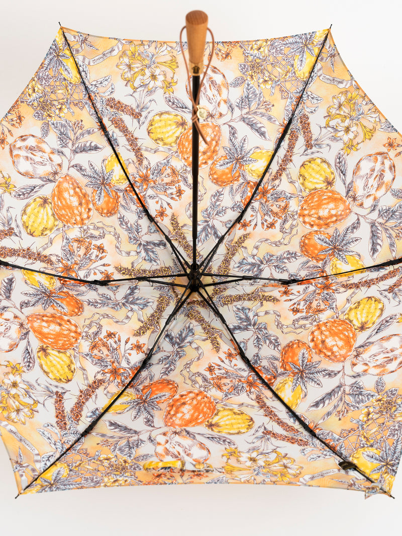 &lt;Umbrella for both rain and shine&gt; Orangerie Garden