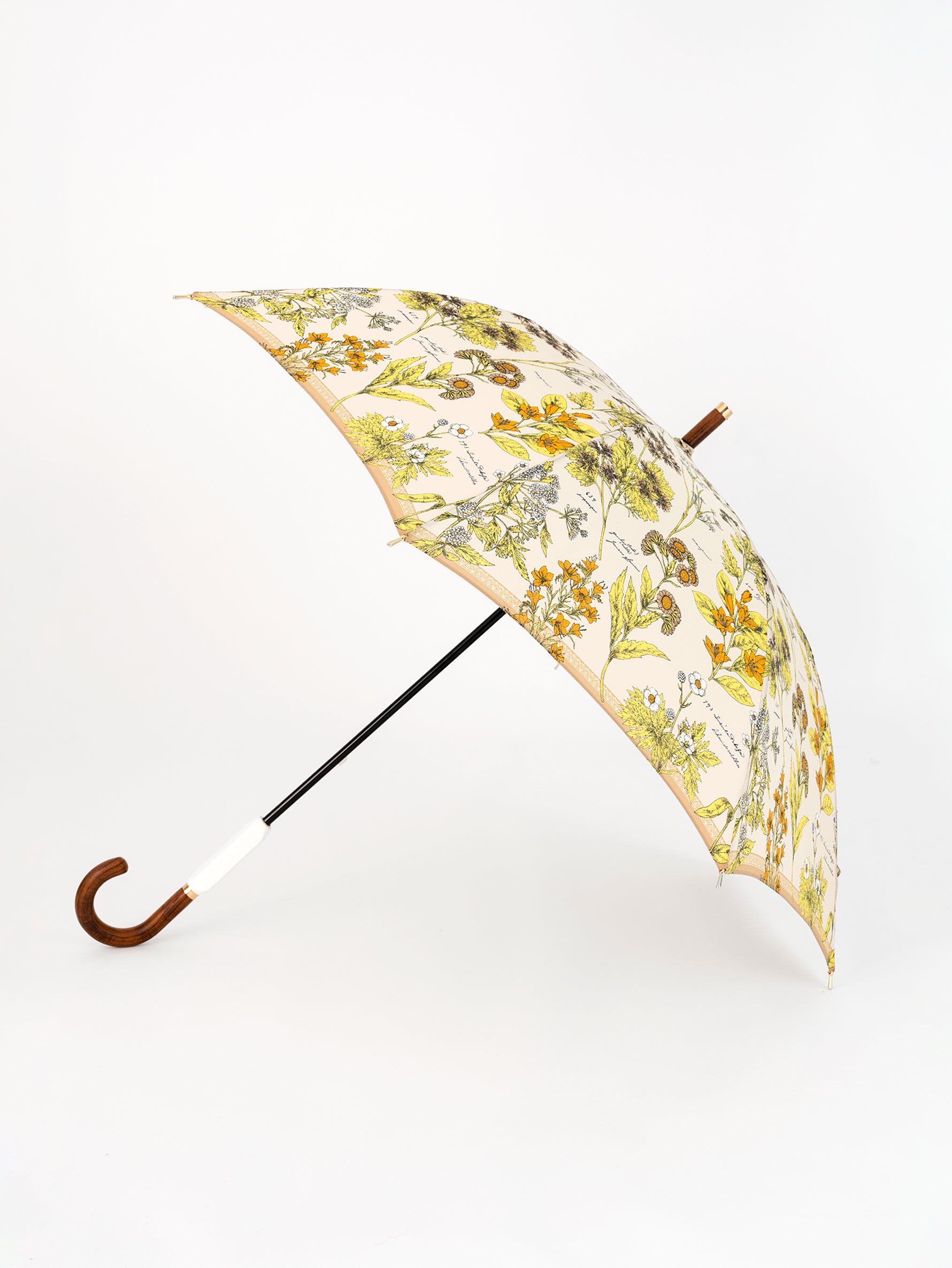 晴れの日も雨の日も！晴雨兼用傘の一本を – manipuri