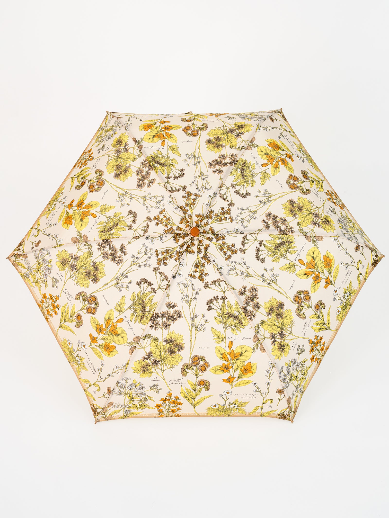 晴雨兼用折傘＞ボタニカル – manipuri