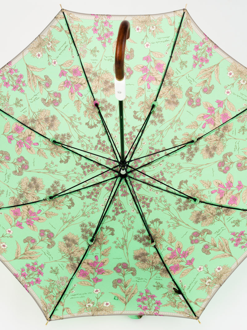 LONG UMBRELLA / JUNGLE FRUITS