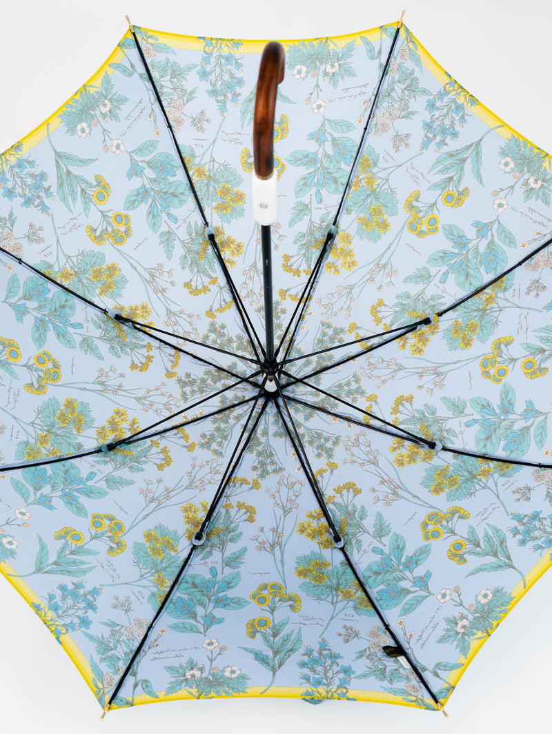 LONG UMBRELLA / JUNGLE FRUITS