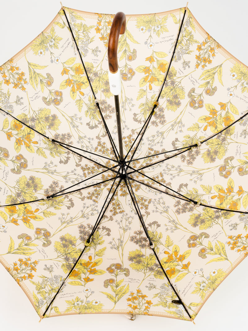 LONG UMBRELLA / JUNGLE FRUITS