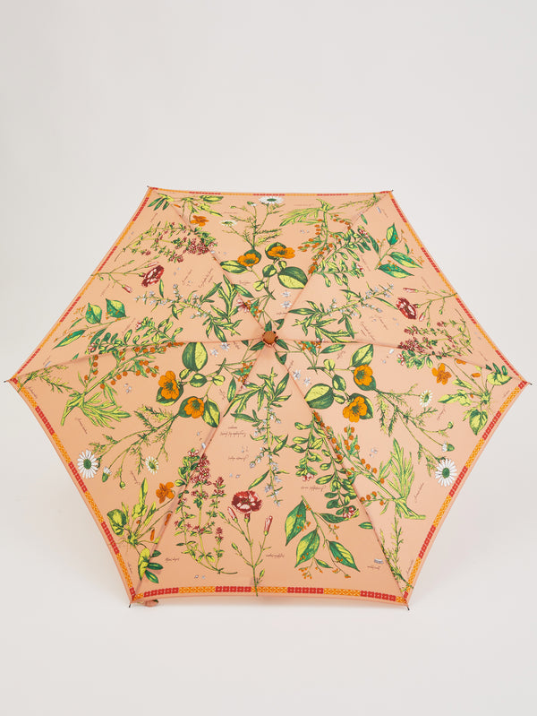 &lt;Umbrella for rain or shine&gt; Antique flower