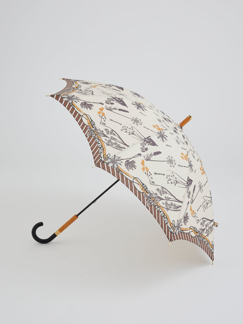 manipuri傘